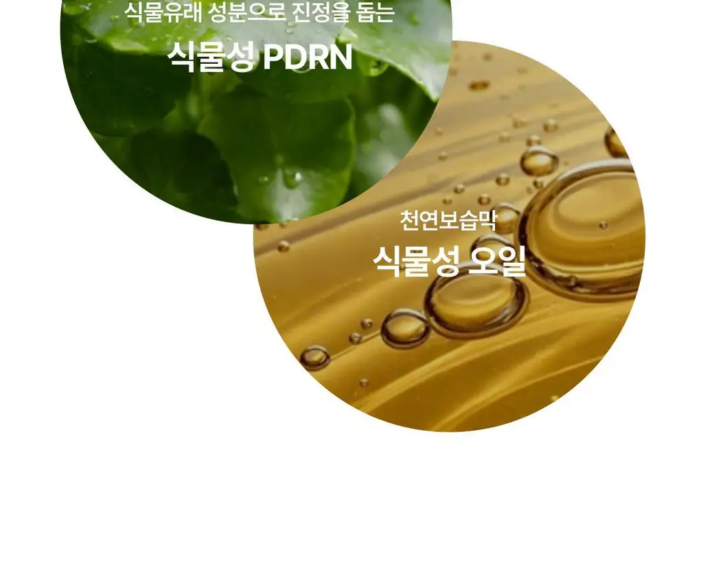 [도화지비비/뽐니Pick] 아떼 PDRN 비비크림 35ml 2종 단품/기획(+팁치크 증정) 상세페이지 17